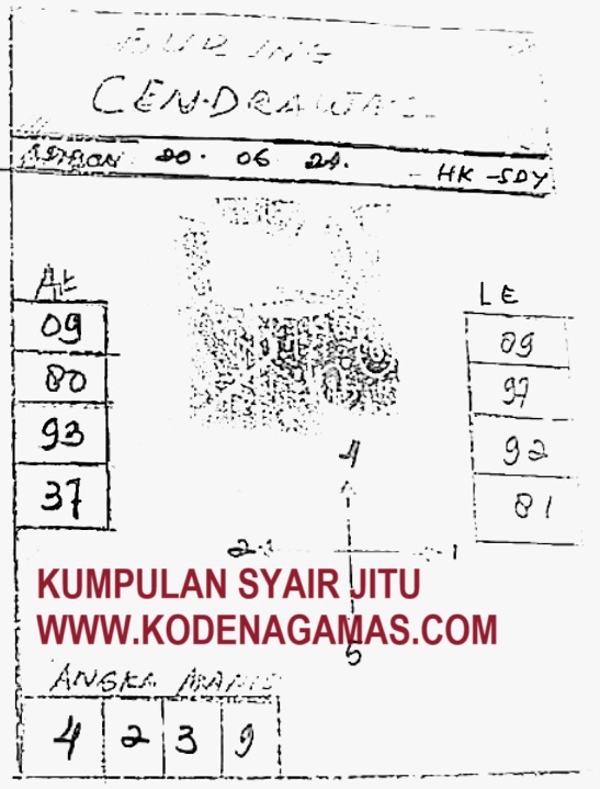 SYAIR SGP VIP